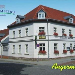 Hotel am Seetor